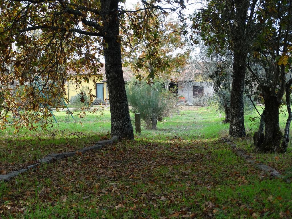Farm stay Casa Das Palmeiras