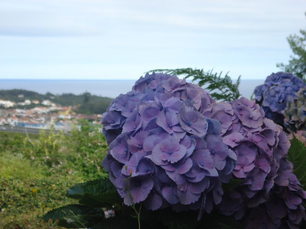 Family Holiday Vacation Ponta Delgada Ponta Delgada (Sao Miguel)