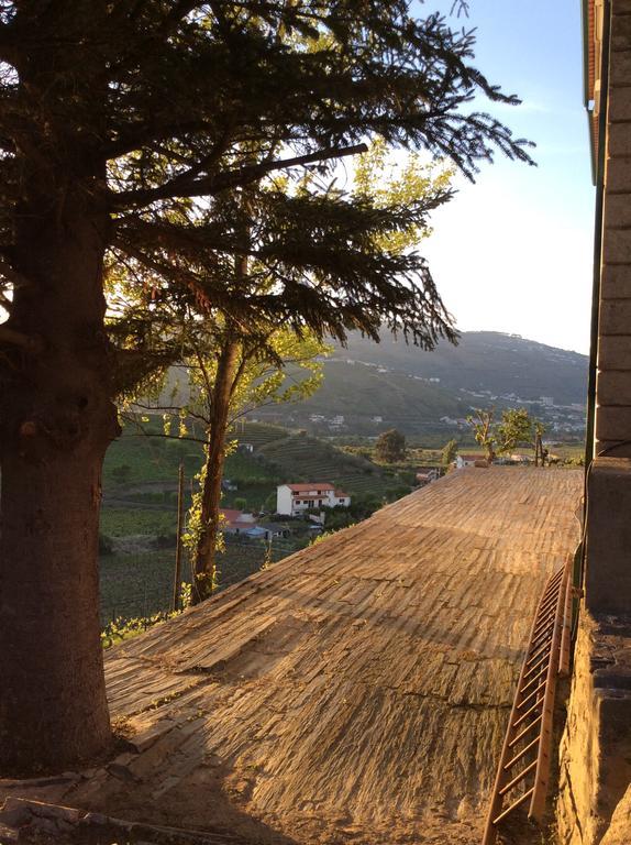 Acomodação com café da manhã  Quinta Do Fojo *