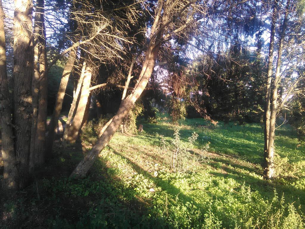 Nature Houses Holiday home