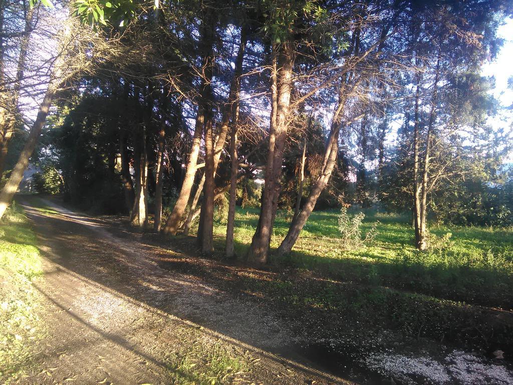 Nature Houses * Lagos