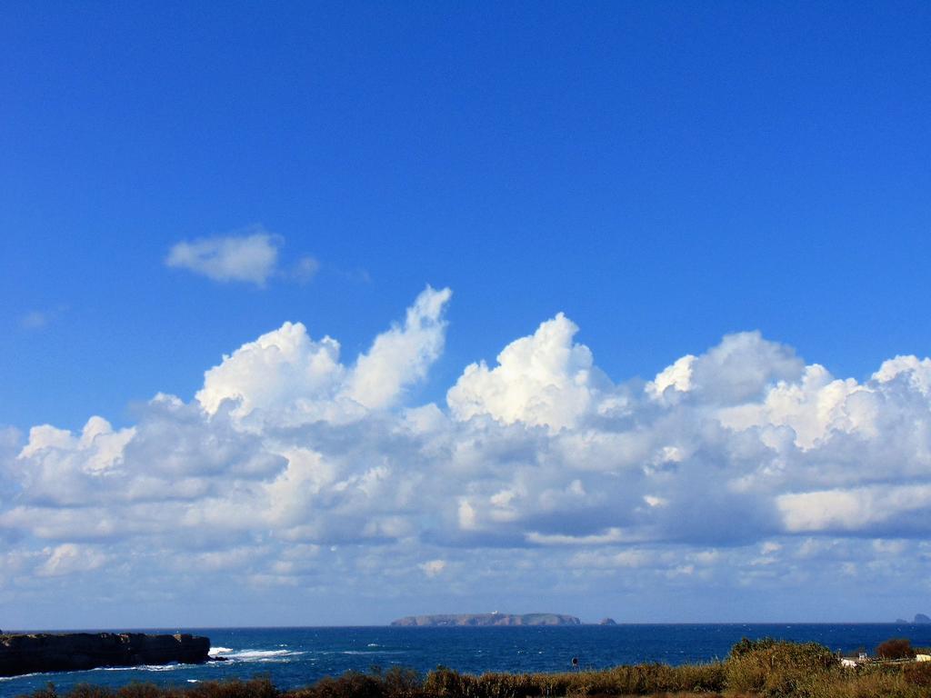 Surf - Ocean View