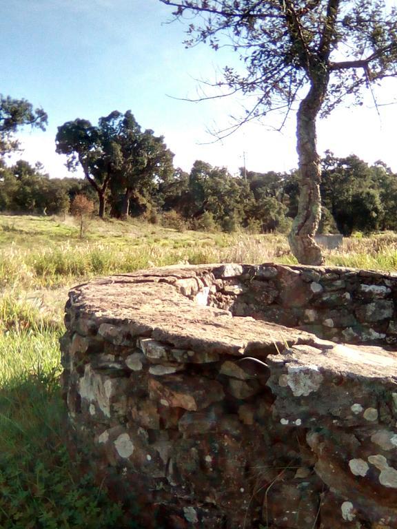 Monte Da Bolota *