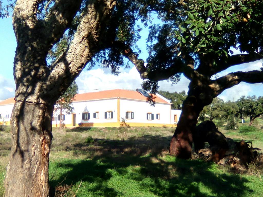Monte Da Bolota * Sines
