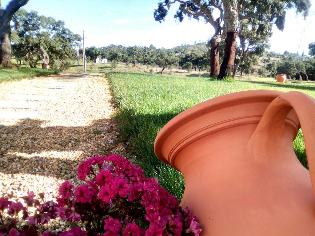 Monte Da Bolota Holiday home *