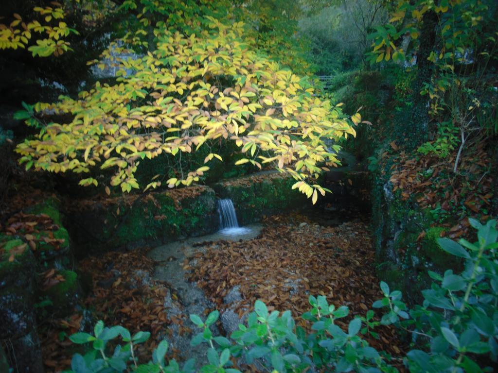 Quinta De Barbedo - Farm stay Canicada