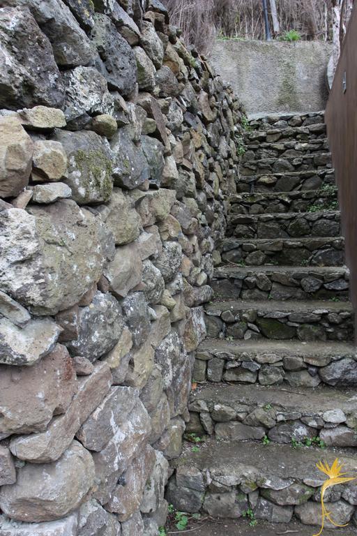 Agroturismo A Casa Estrelícia-dourada Garcês