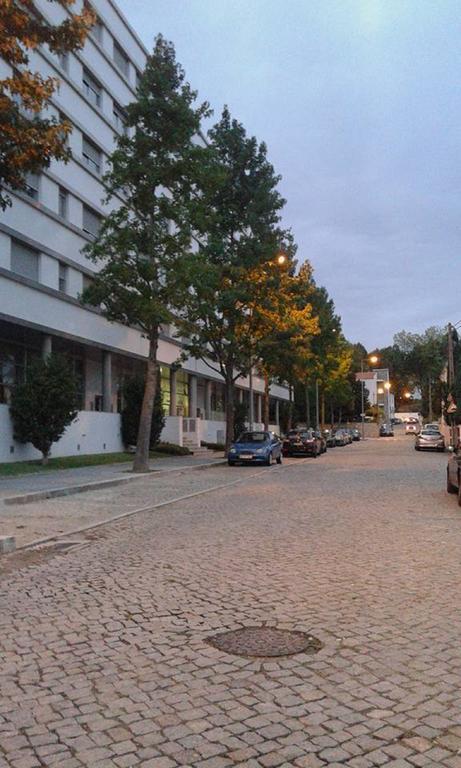 My In Oporto * Maia (Porto)