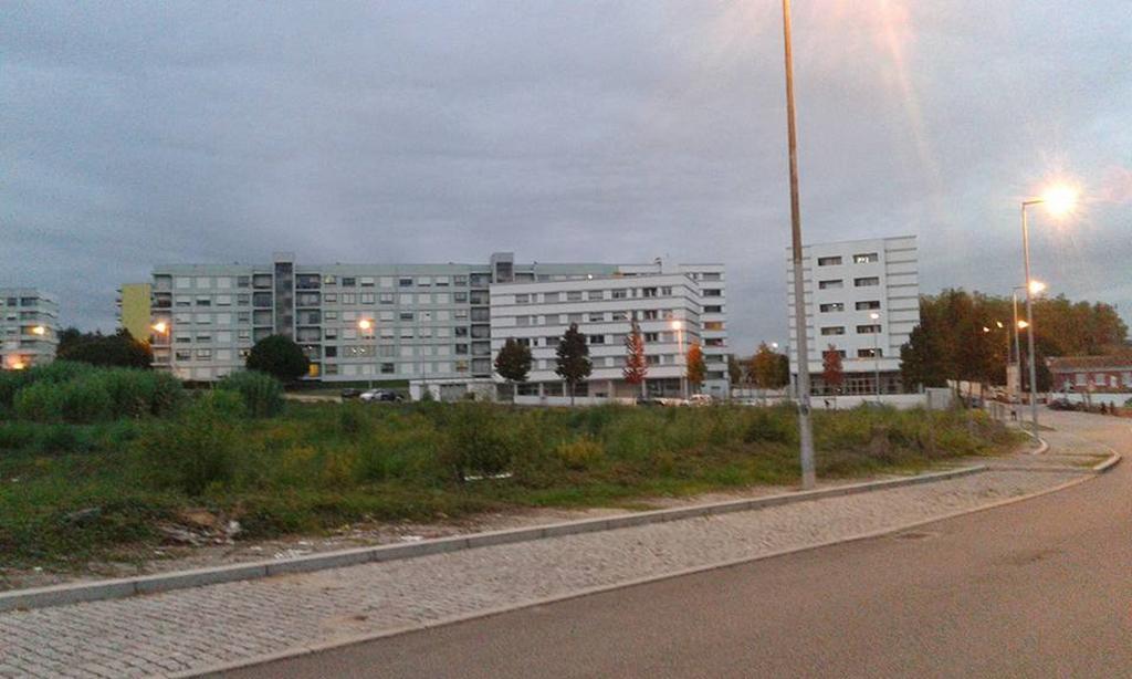 My In Oporto *