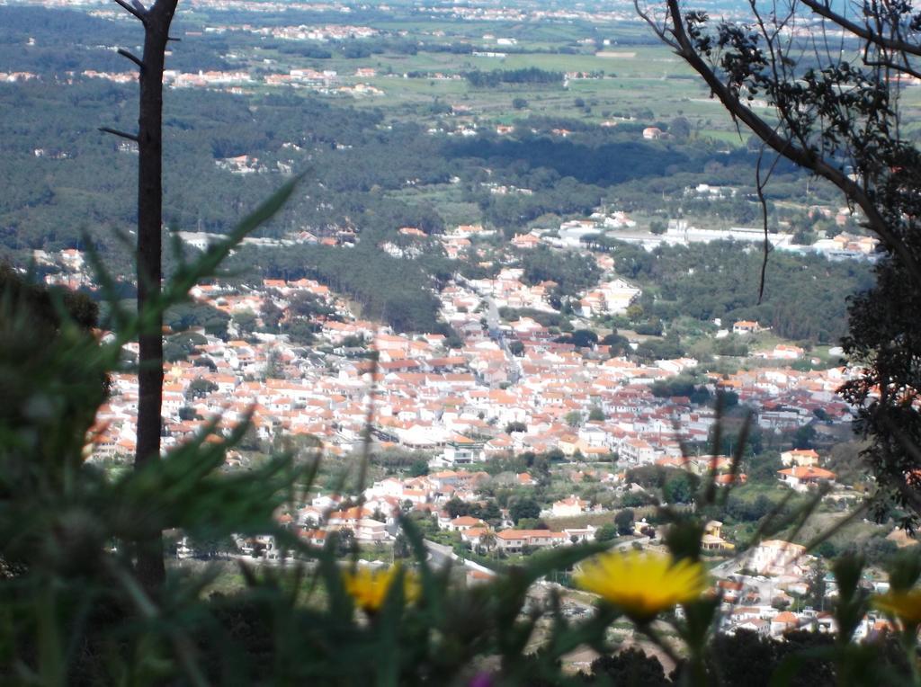 Casa Do Cha Casa de férias