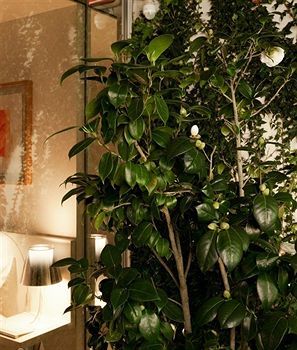 Apartment The 4rooms Porto
