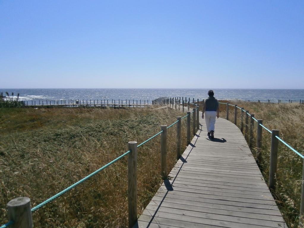 Sea Sight