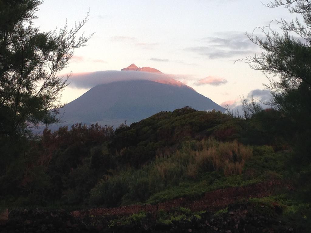 Casa Da Costa Holiday home Madalena (Azores)