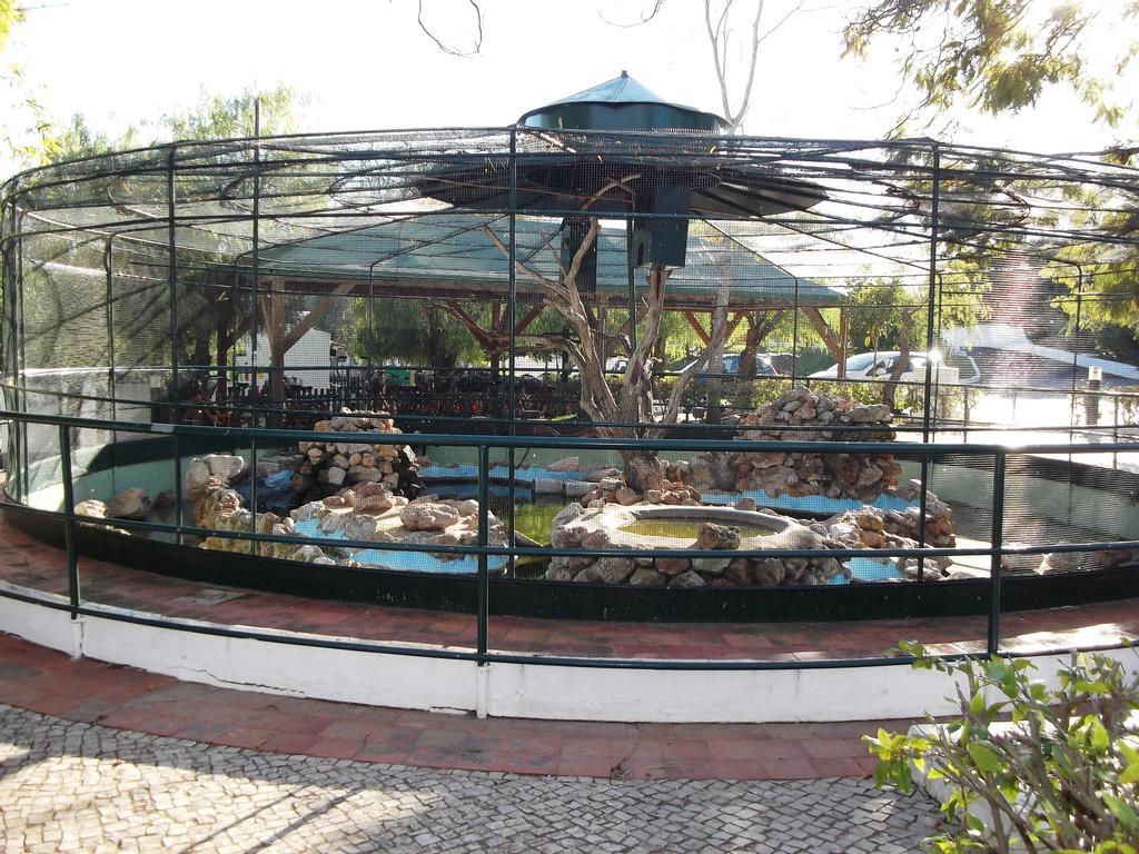 Pedras Del Rei, Nature And Apartment