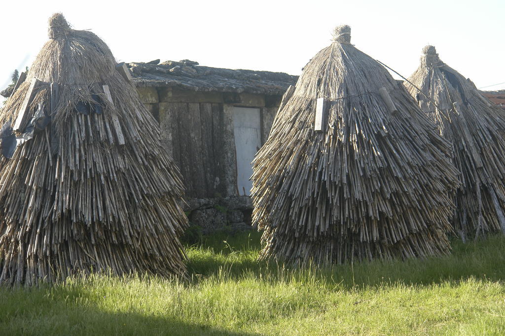 Agroturismo Quintinha D'arga *
