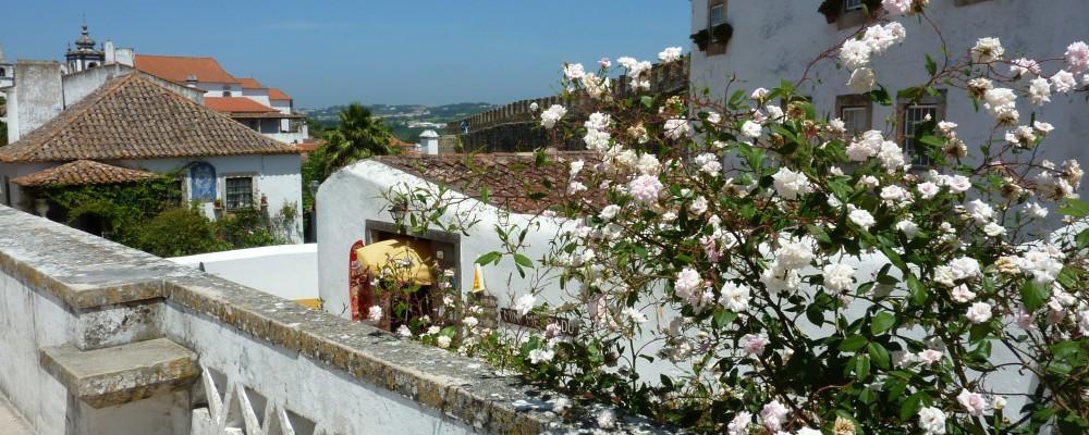 Apartamento Carmona São Martinho do Porto