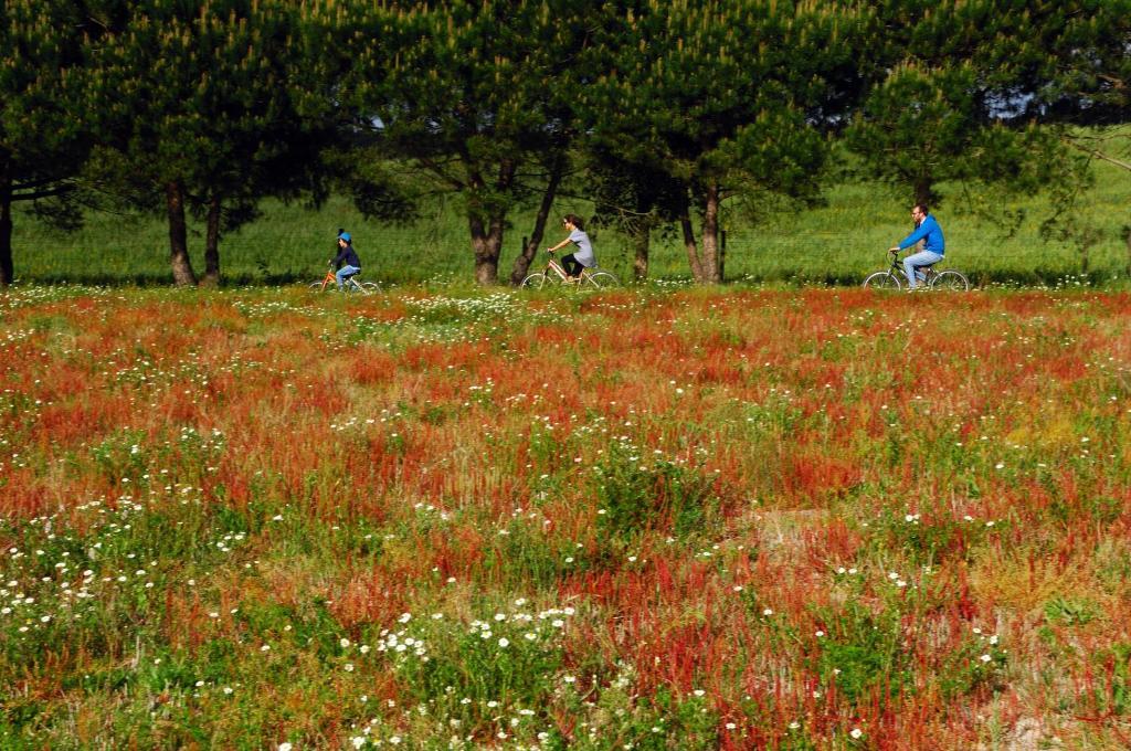 Monte Da Galrixa Farm stay Zambujeira do Mar