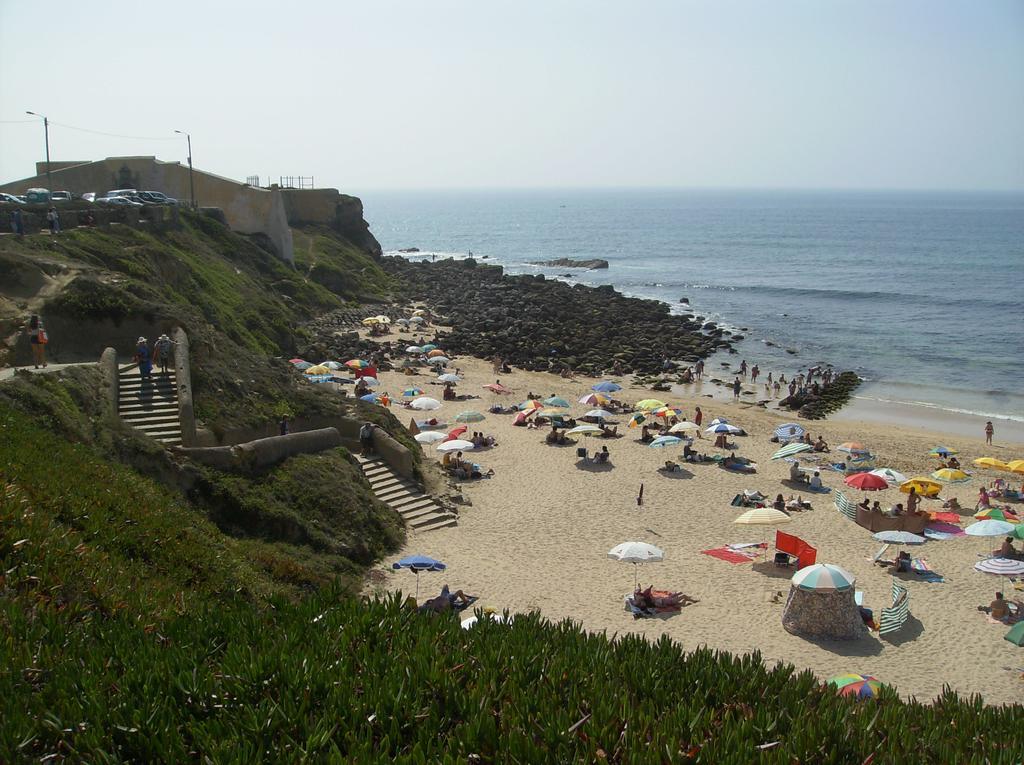 Surf & Beach