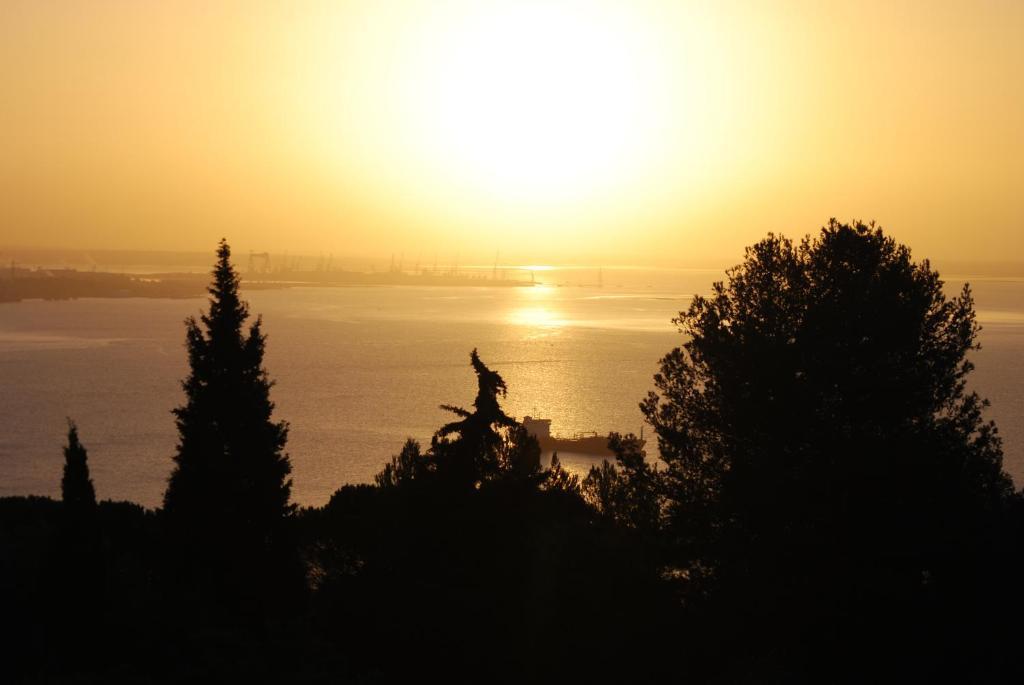 Villa Quinta De Sao Filipe Setubal