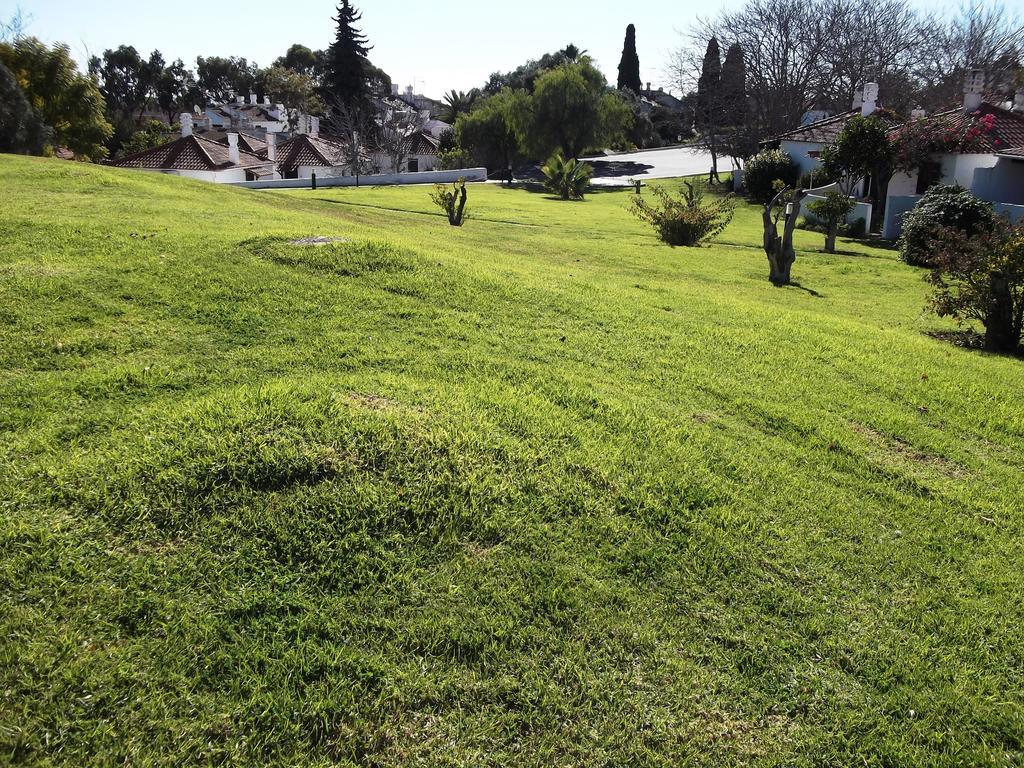 Pedras Del Rei, Nature And Apartamento *