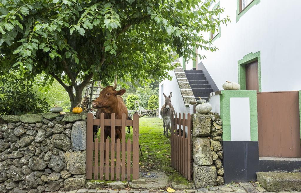 Guest house Quinta Do Martelo 3*