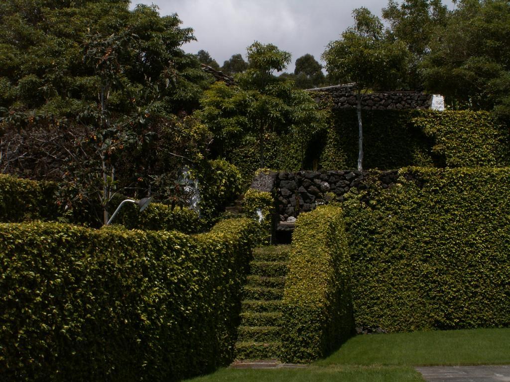Quinta Do Martelo Guest house 3*