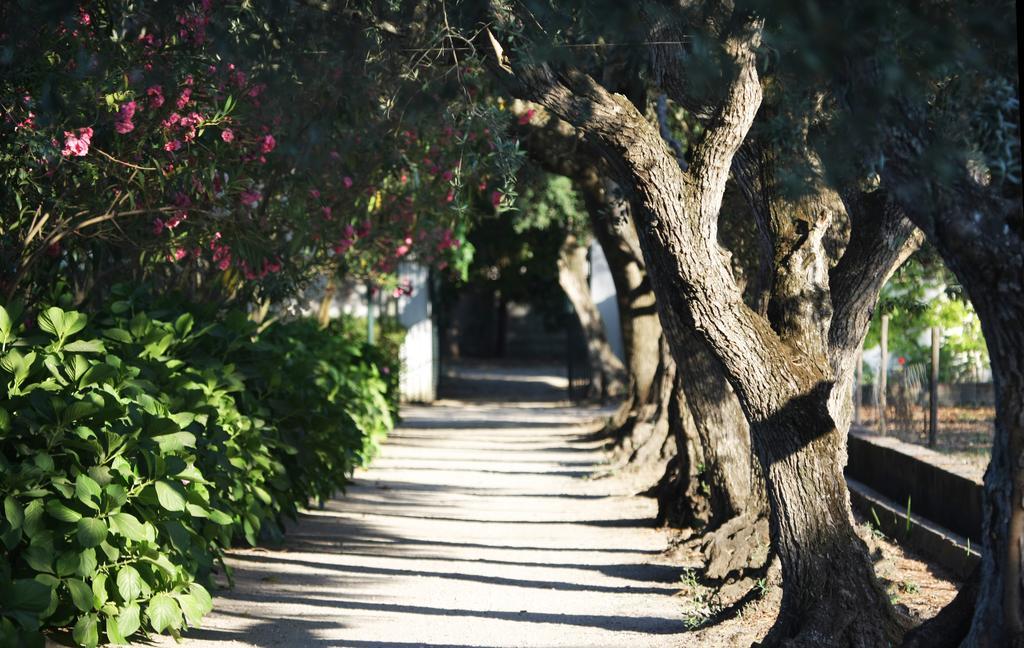 Gasthuis Quinta Da Fontes