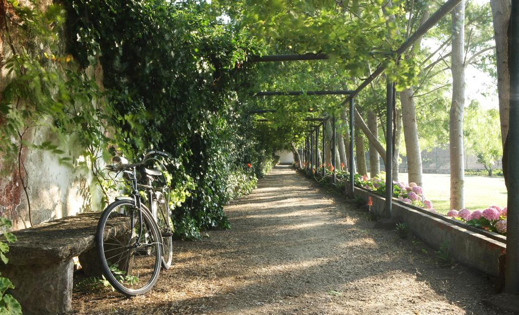 Quinta Da Fontes Guest house