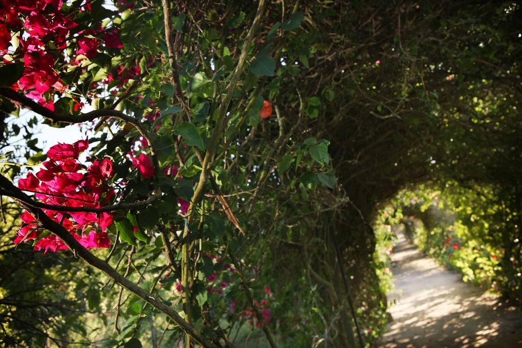 Guest house Quinta Da Fontes Alcochete