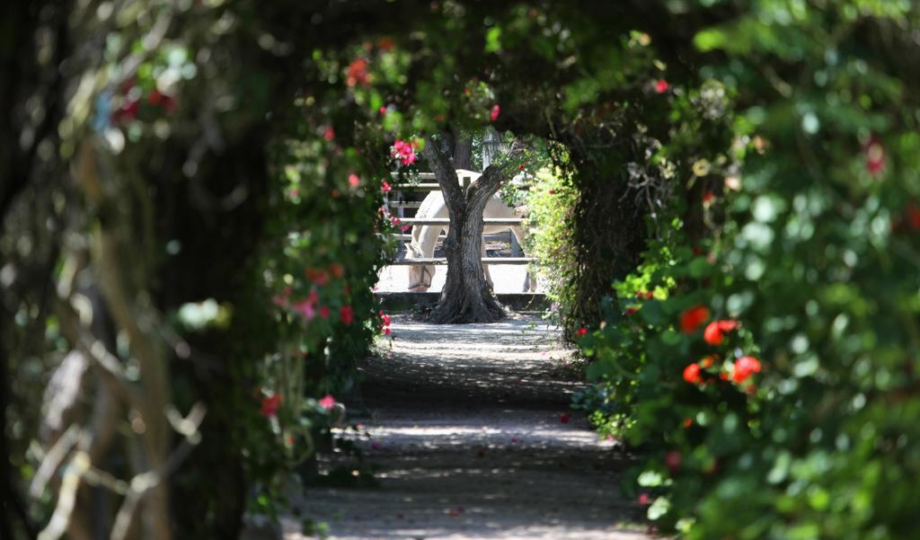 Quinta Da Fontes