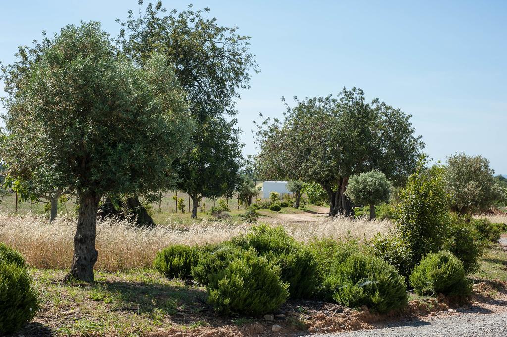Pensao Agricola Country house