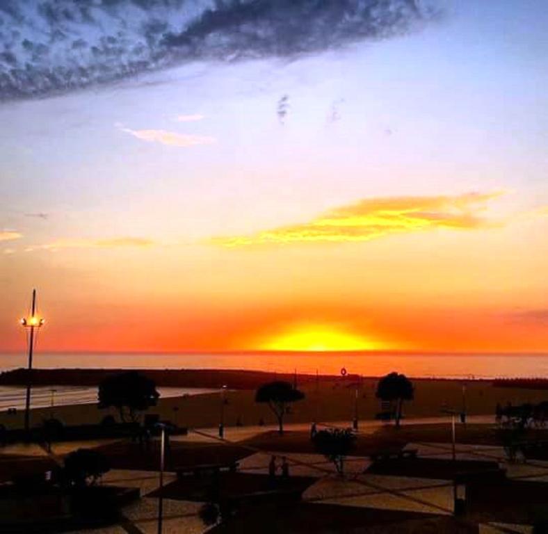 Apartment Porto Terrace Espinho (Aveiro)