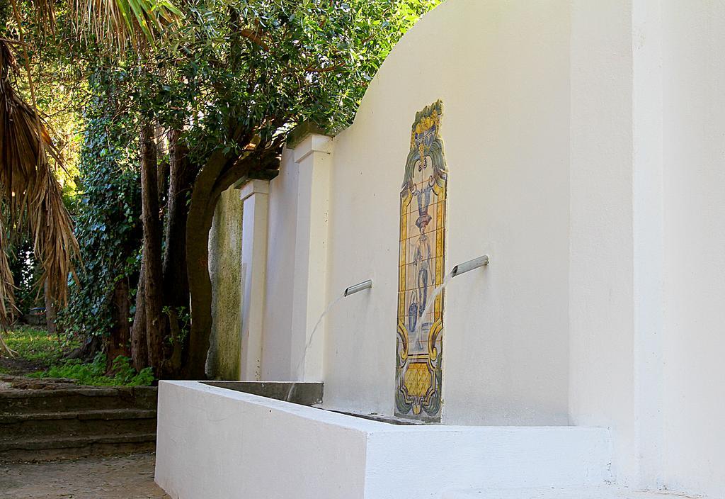 Senhora Do Cabo Meco Homy Holidays Guest house