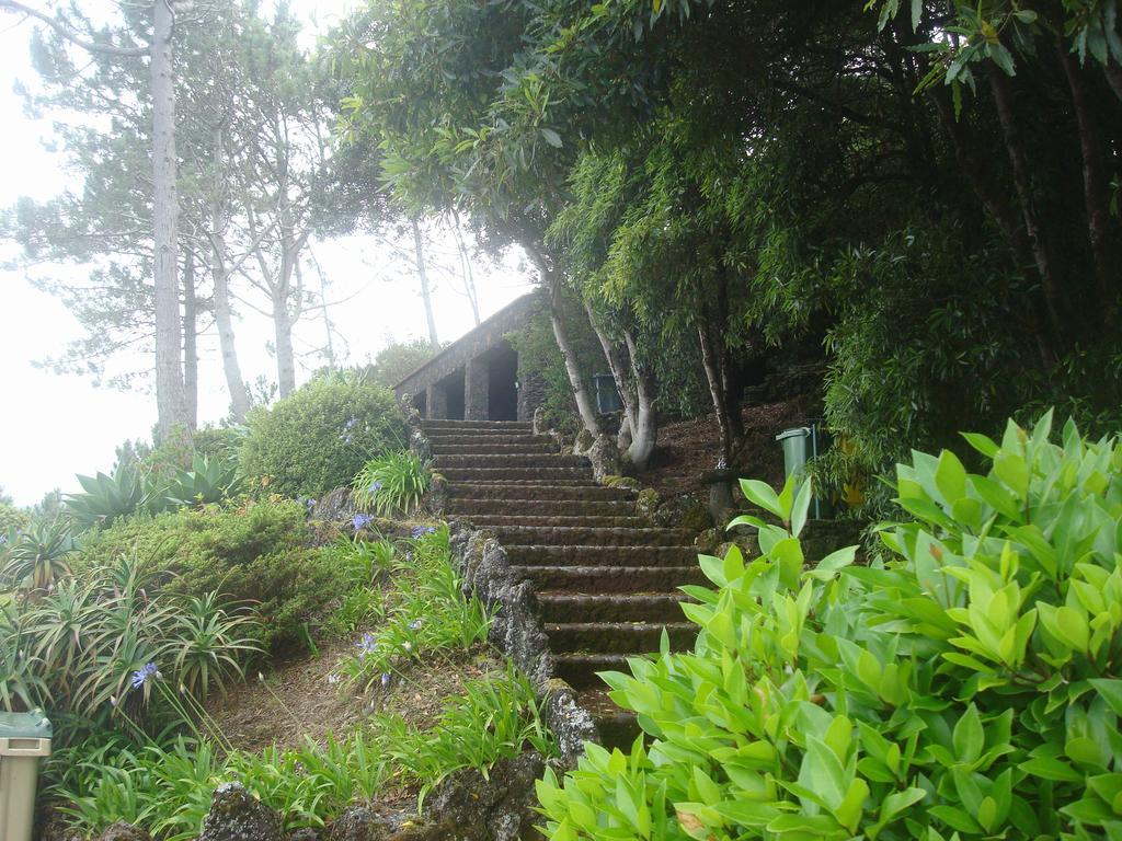 Pico Formoso Vinea Lava Alojamentos Pico Guest house
