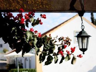Encosta Das Freiras Guest house 4*