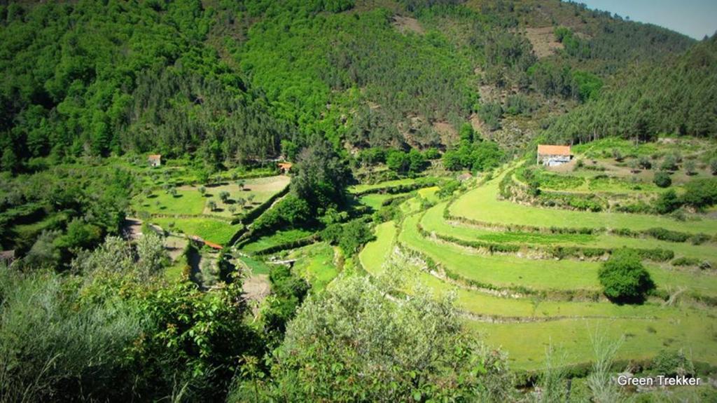 O Vicente Bed & Breakfast Loriga