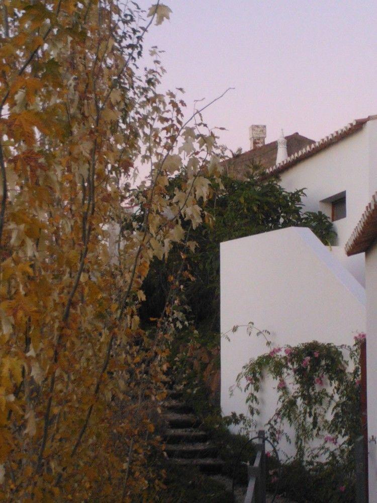 Casas Do Palheiro Velho Country house *