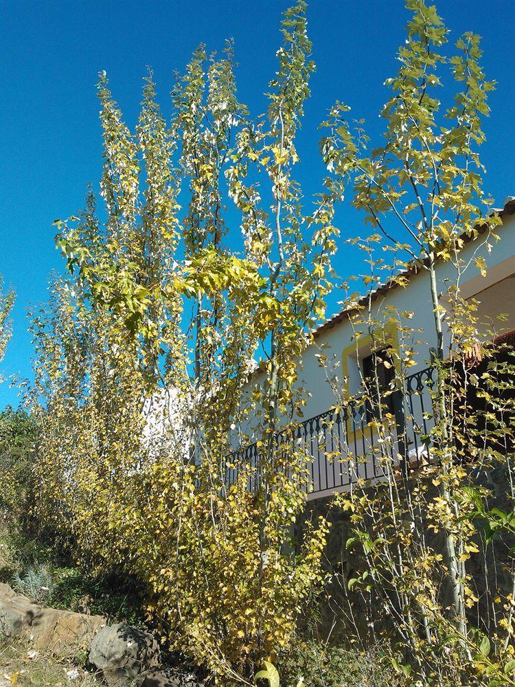 Country house Casas Do Palheiro Velho