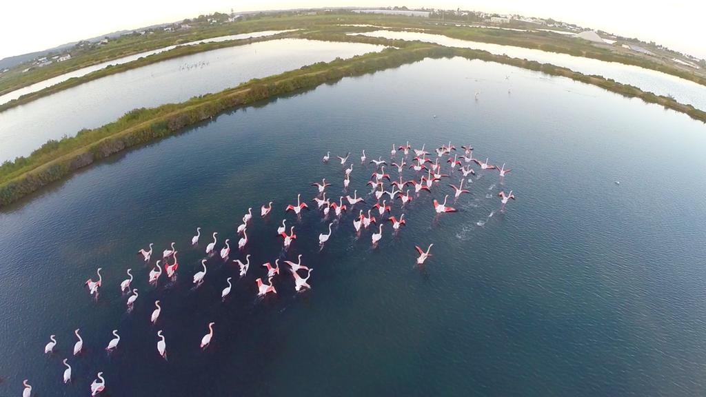Real Marina & Hotel Olhao