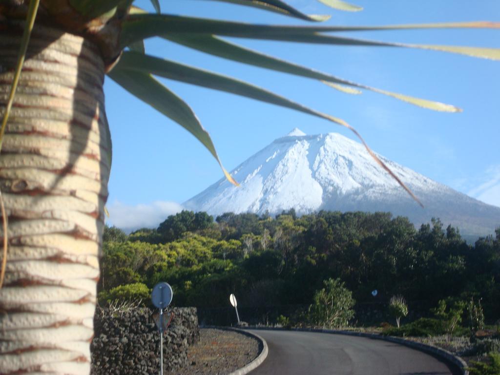 Pico Formoso Vinea Lava Alojamentos Pico Guest house *