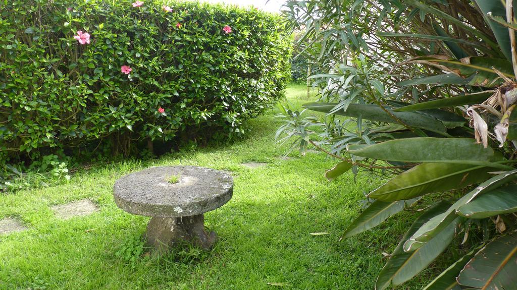 Appartement Azores Garden House - Private & - Automatic Self Check-in