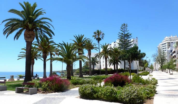 Exclusive Beachfront
