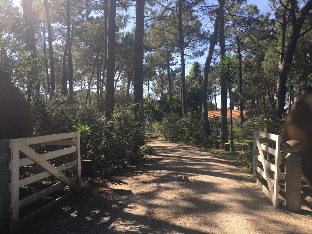 Farm stay Casa Do Pateo