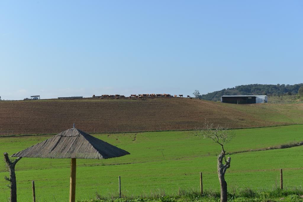 Herdade Dos Montes Bastos Santa Luzia (Ourique)