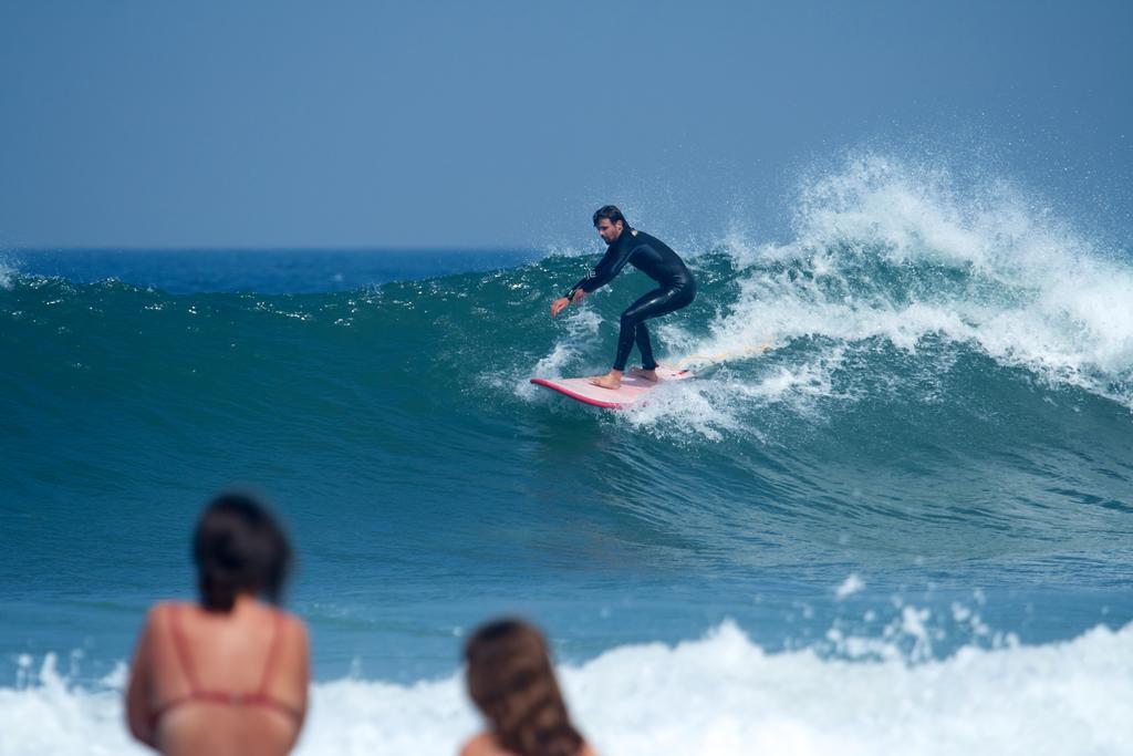 Surfivor Surf