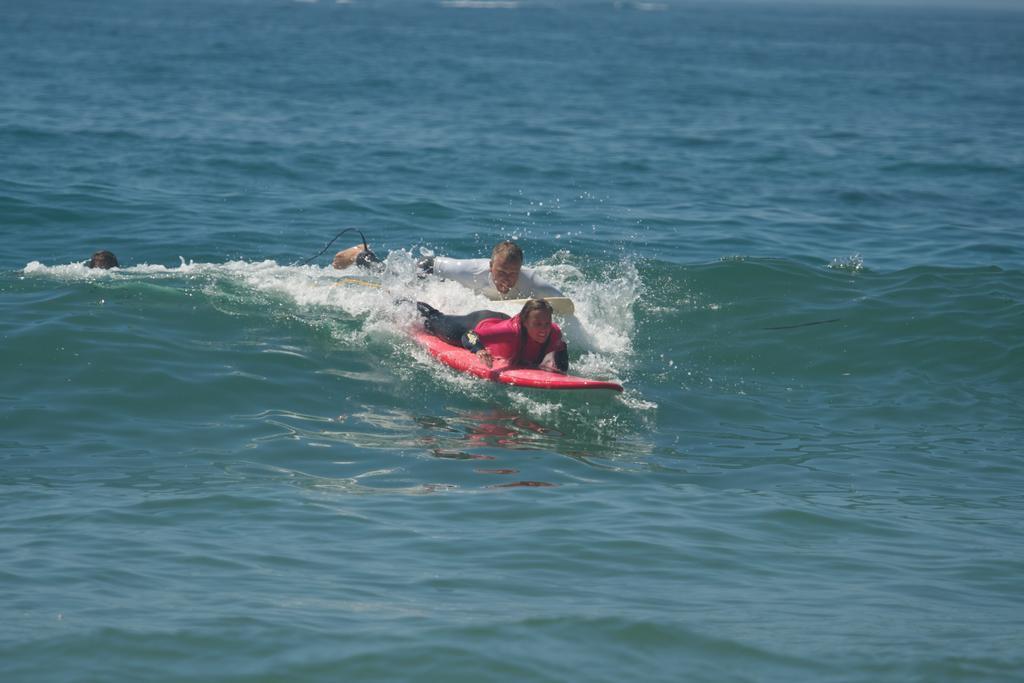 Hostel Surfivor Surf