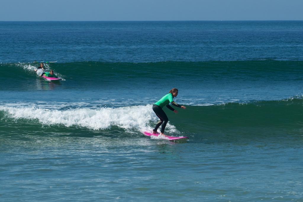 Surfivor Surf Hostal Oporto