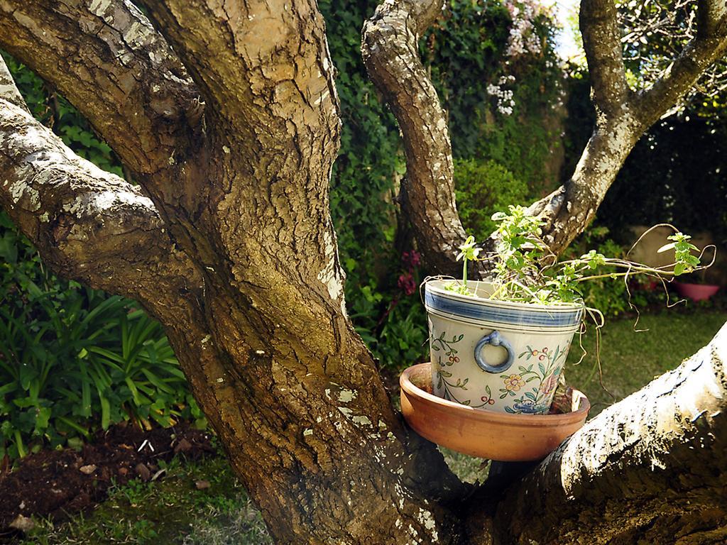 Sunny Garden By Be@home *
