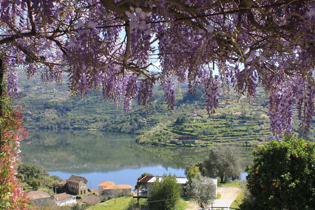Quinta Das Quintas & Spa Casa de hóspedes