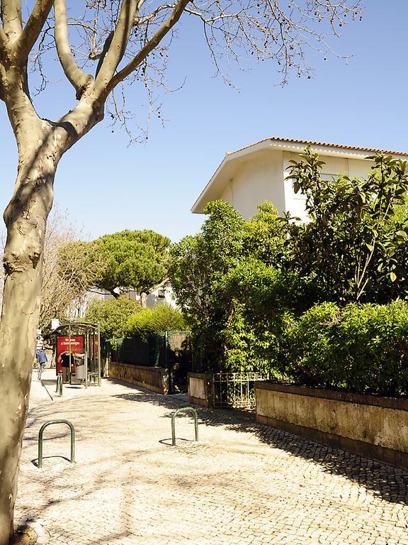 Sunny Garden By Be@home * Cascais